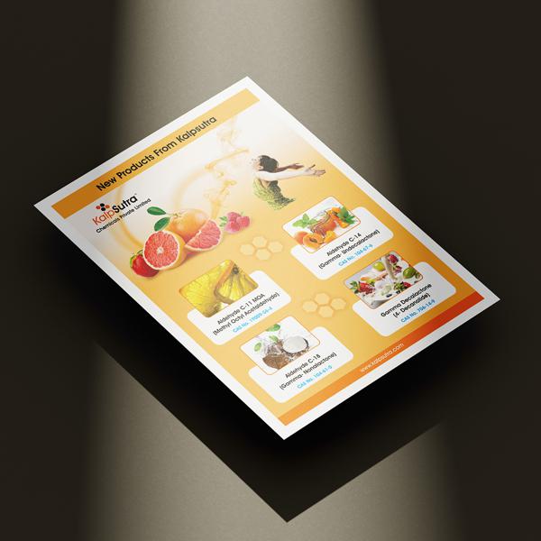 brochures-design-portfolio-73
